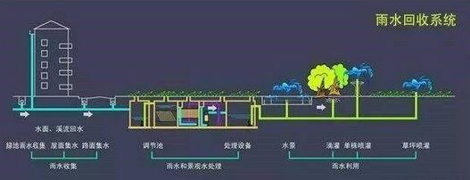 为什么地产公司逐渐将海绵城市雨水收集系统纳入建设方案中？